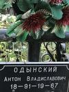 Захоронение ID 1270126