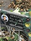 Захоронение ID 1271426