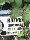 Захоронение ID 1271438