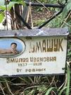 Захоронение ID 1271511