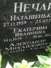 Захоронение ID 1271763