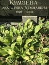 Захоронение ID 1272140