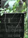Захоронение ID 1272245