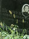Захоронение ID 1272350