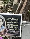 Захоронение ID 1272506