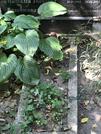 Захоронение ID 1273136