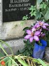 Захоронение ID 1274261