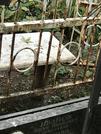 Захоронение ID 1274643