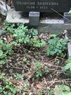 Захоронение ID 1274683