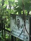 Захоронение ID 1257495