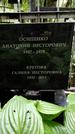 Захоронение ID 1280338