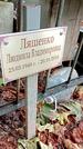 Захоронение ID 1280358