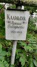 Захоронение ID 1280445