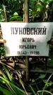 Захоронение ID 1280716