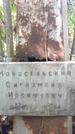 Захоронение ID 1280848