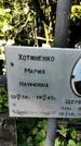 Захоронение ID 1281193