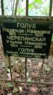 Захоронение ID 1281238