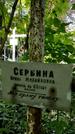 Захоронение ID 1282009