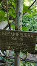 Захоронение ID 1282207