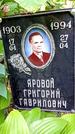 Захоронение ID 1282460