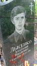 Захоронение ID 1282654