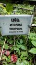 Захоронение ID 1282903