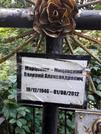 Захоронение ID 1283730
