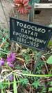 Захоронение ID 1283905