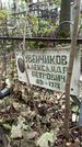 Захоронение ID 1284824