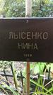 Захоронение ID 1285179