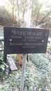 Захоронение ID 1285422