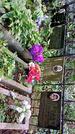 Захоронение ID 1285695
