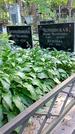 Захоронение ID 1285704
