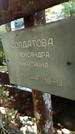 Захоронение ID 1286047
