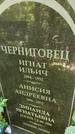 Захоронение ID 1286094
