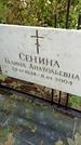 Захоронение ID 1286149