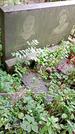 Захоронение ID 1286452
