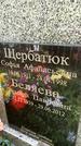 Захоронение ID 1286625