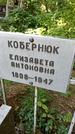 Захоронение ID 1286720
