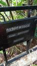 Захоронение ID 1286821