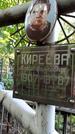 Захоронение ID 1286835