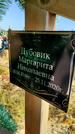 Захоронение ID 1309589