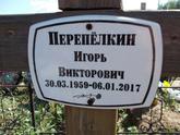 Захоронение ID 1313696