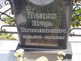 Захоронение ID 1313482