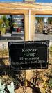 Захоронение ID 1320693