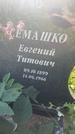 Захоронение ID 1324359