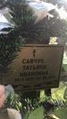 Захоронение ID 1327519