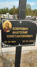 Захоронение ID 1330219