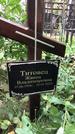 Захоронение ID 1332484