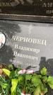 Захоронение ID 1332799